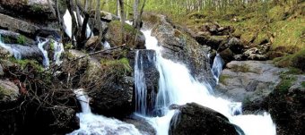 Кафе Водопад Стерлитамак