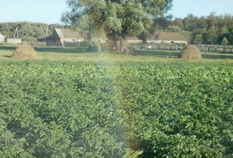 Такси Стерлитамак Кузяново Цена